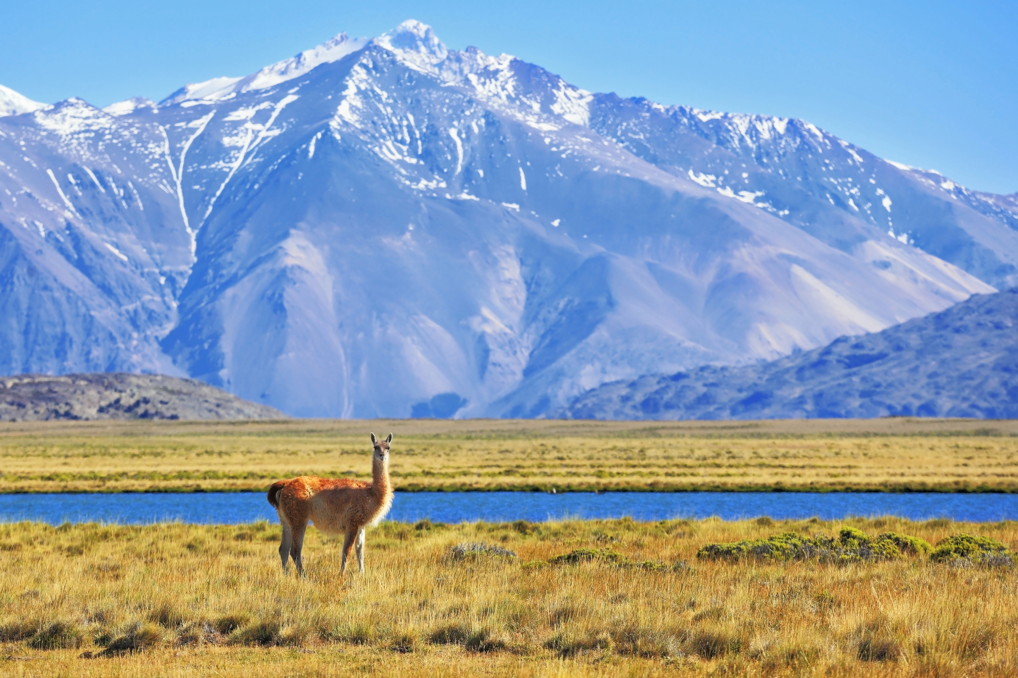 Gdzie leży Patagonia? Zapierająca dech w piersiach kraina na teranie Argentyny i Chile